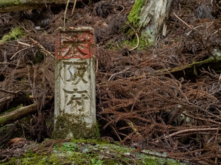 森の中にある大阪府の境界標石（大阪府豊能町、初谷渓谷） - obrazy, fototapety, plakaty