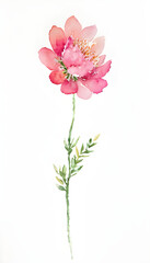 Naklejka na ściany i meble Illustration of a flower meadow in spring. Generative AI.