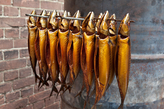 Traditional fresh smoked whole mackerels hanging on a stack outside 