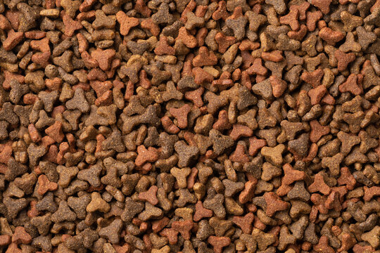 Dry cat food close up  full frame as backgrounds