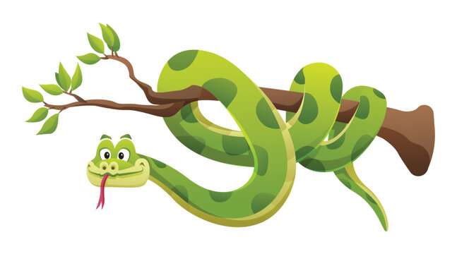 Cartoon snake on branch isolated on white background