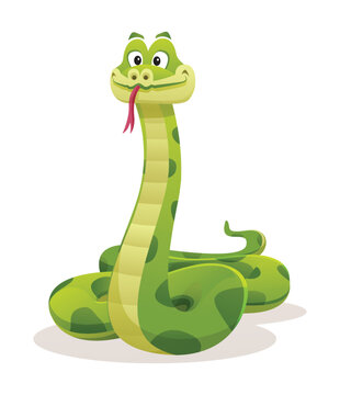 Cartoon green snake isolated on white background