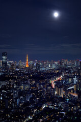 Fototapeta na wymiar 恵比寿ガーデンプレイスから見た東京タワーと都市の夜景