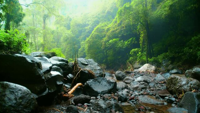 Stones lying in the river with a water flowing along the stones from a mountain river with fain forest.