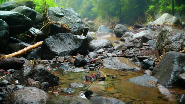 Stones lying in the river with a water flowing along the stones from a mountain river with fain forest.