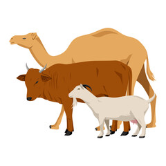 Camel, Cow and Goat vector illustration. Animal cartoon