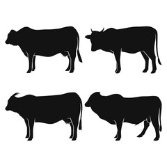 set simple cow illustration. Circuit. Farm. Black and white drawing by hand