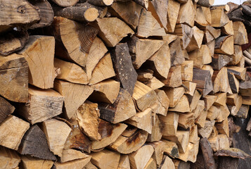 Laying chopped wood for the stove