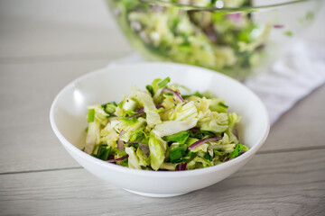 Young cabbage salad with purple onions in a bowl .