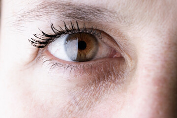 Fototapeta na wymiar millennial woman's light brown eye macro
