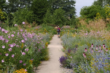 Jardin anglais en été