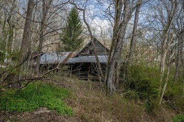 andrews nc