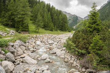 Alpine wild river with rocks and pine trees and mountains in Imst, Tirol. Austria.