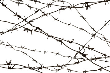 Fototapeta na wymiar Barbed wire on a white background close-up. Jail. Law