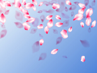 Spring blossom isolated petals flying