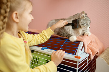 Little girl child combing thick fur of kitten spending time in animal shelter