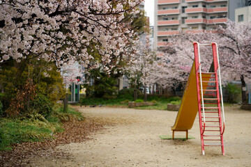playground in the park with cherry blossom