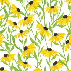 Raster illustration. Hand painted watercolor black-eyed Susan flower seamless repeat pattern. Best for packaging, home décor, bedding and wallpaper.