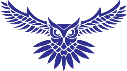 Foto op Plexiglas  vector colorful owl design © SERAP