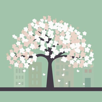 vector Cherry blossom tree on the street