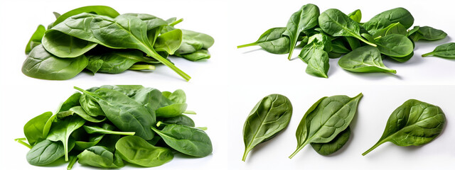 spinach, food, green, isolated, fresh, vegetable, leaf, spinach, leaves, white, bg, background, healthy, herb, organic, salad, plant, ingredient, raw, diet, spice, nutrition, closeup, nature, cooking,