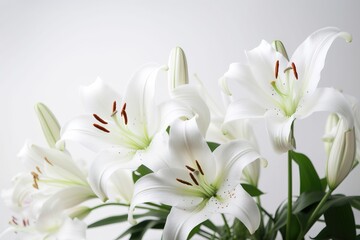 Fototapeta na wymiar a vase filled with white lilies on top of a white tablecloth and a white wall in the background with a white wall in the background. generative ai