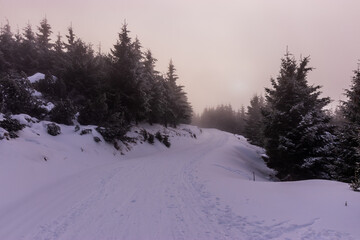 Winter view of a skiing trail in Orlicke hory mountains, Czech Republic