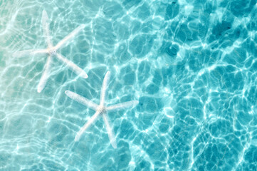Beautiful starfish on clear blue water, top view