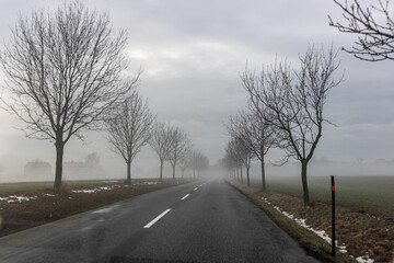 Fototapeta premium Winter view of a road in Orlicke hory mountains, Czech Republic
