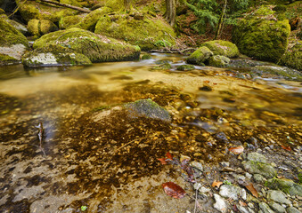 Bergfluss. Ruhige Landschaft inmitten eines Waldes