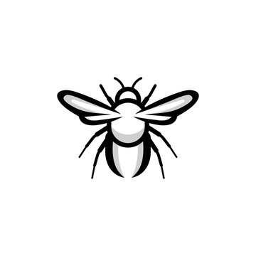 Bee vector black and white illustration suitable for all industries
