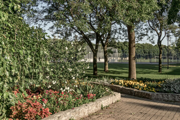 Toronto, Ontario, Canada - August 17, 2014: People play tennis on courts behind the gardens of Jimmy Simpson Park planted with white Rose of Sharon and other ground cover