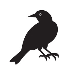 bird on a branch