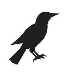 crow