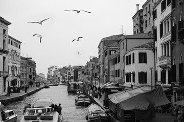 Möven über dem Canale di Cannaregio in Venedig - obrazy, fototapety, plakaty
