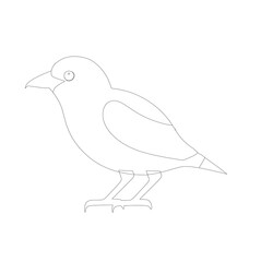 illustration of a bird