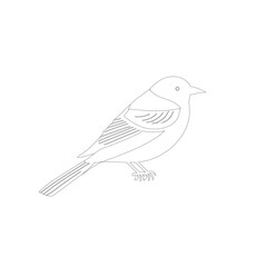 bird on a branch