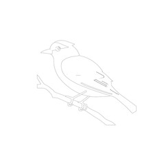 sketch of a bird on a branch