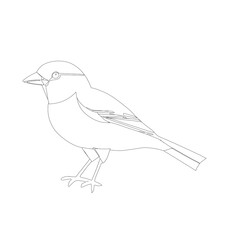 sketch of a bird