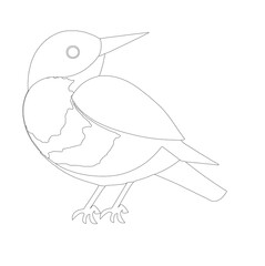 bird on a branch