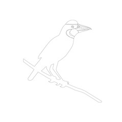 bird on a branch