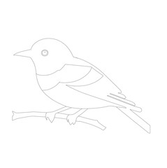 illustration of a bird