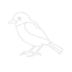 hand drawn bird