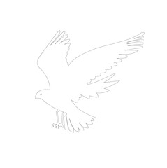 dove of peace