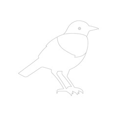 bird on a branch