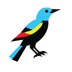 illustration of a bird