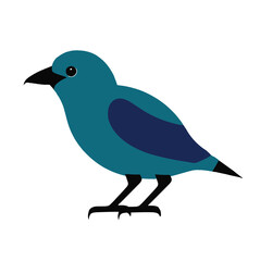 blue bird on a branch