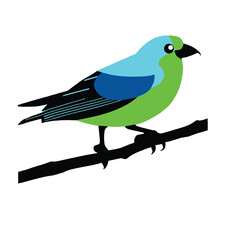 bird on a branch