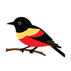 robin on a branch
