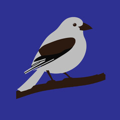 bird on a branch